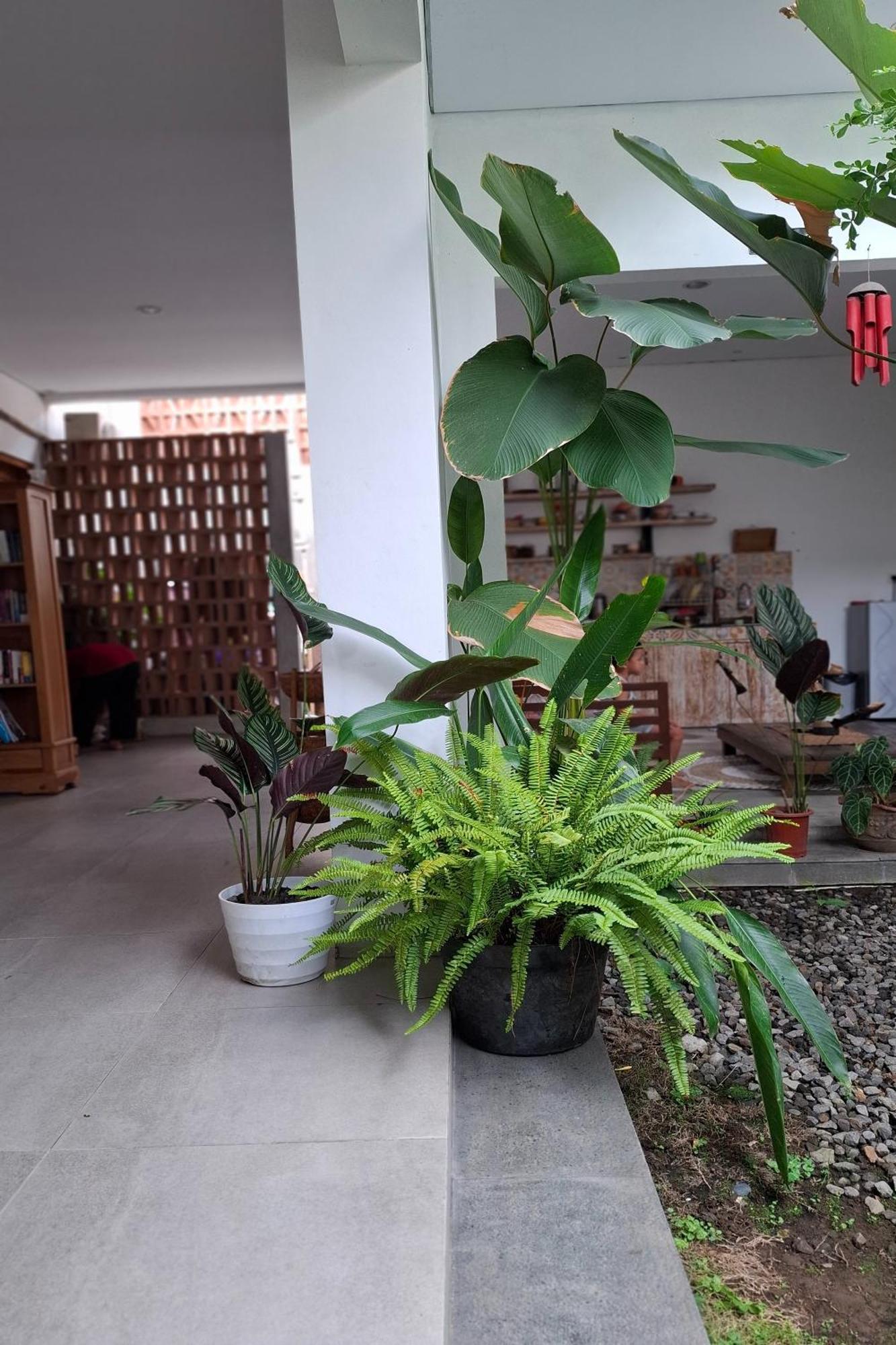 Bring In House Yogyakarta Apartman Kültér fotó